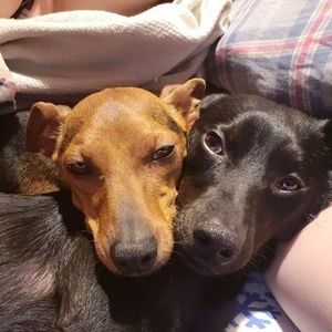 Meet your Posher, Scott